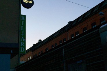 Saruna ar Elenu Dzodzi, Laikmetīgās mākslas centra Signal, Malmē direktori